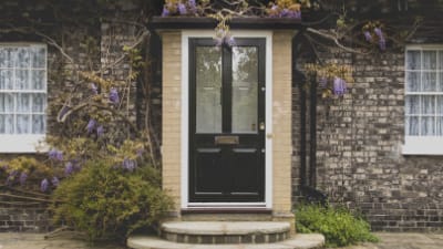 front of brick house with black front door with glass panes and mail flap with vines growing over house.